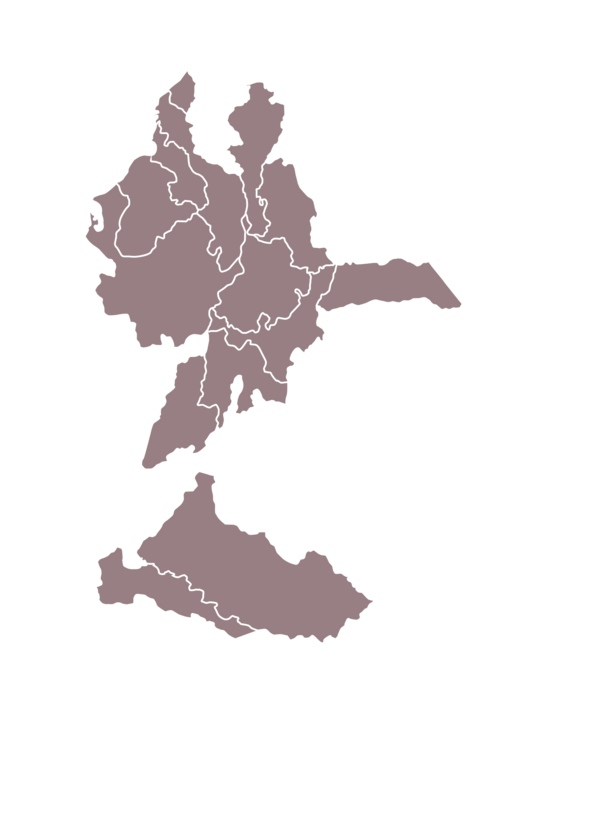 Mapa de presencia de Martínez Caballero en Colombia