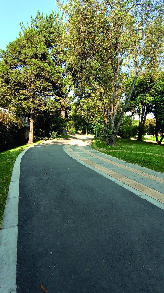 Detalle de senderos peatonales del canal Ruta Molinos